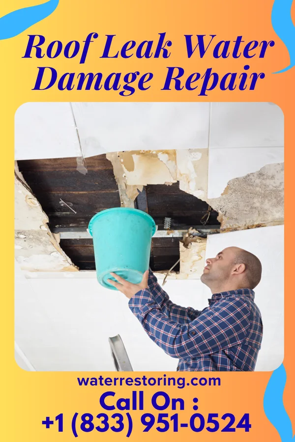 Roof Leak Water Damage Repair in New Ellenton, SC